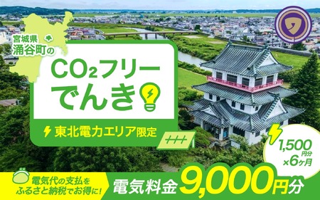 涌谷町CO2フリーでんき 1,500円×6ヶ月コース【※※お申込み前に申込条件を必ずご確認ください】 東北電力 電気 電力 東北 電気代 電気料金 青森県 岩手県 宮城県 秋田県 山形県 福島県 新潟県 でんき【ens002】