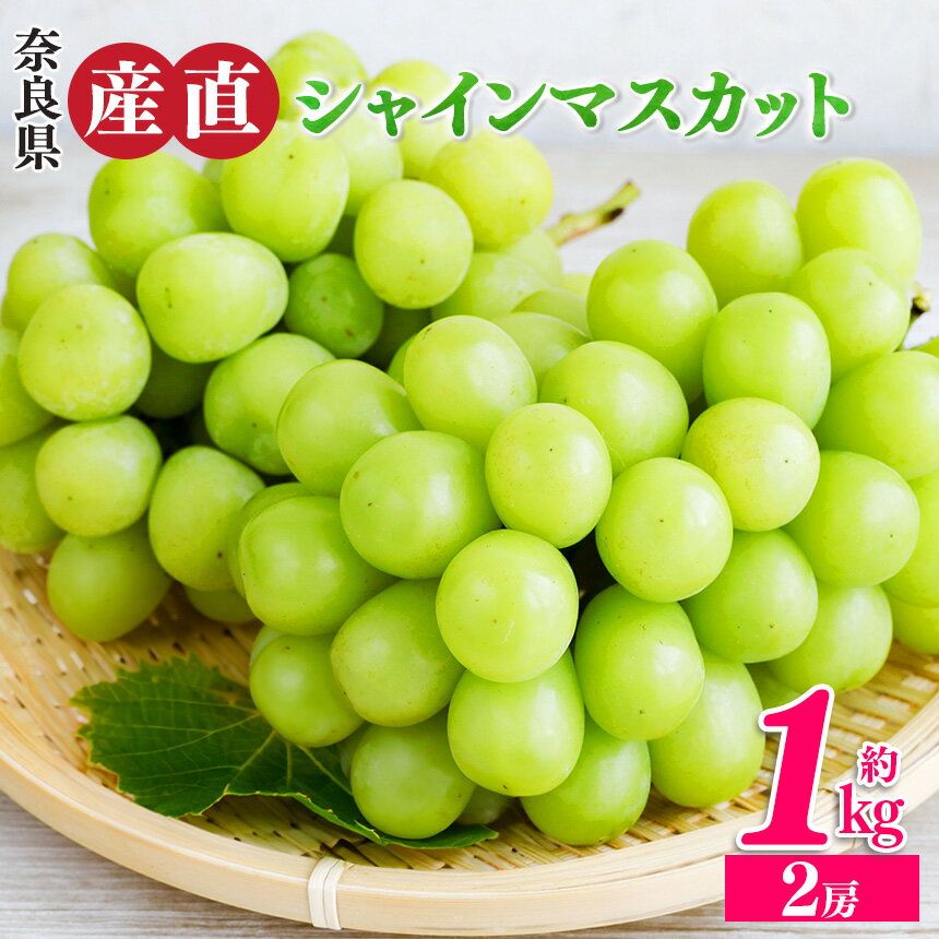 【ふるさと納税】シャインマスカット 2房 （ 約1kg ）| フルーツ 果物 くだもの ぶどう 葡萄 ブドウ シャイン マスカット 奈良県 平群町