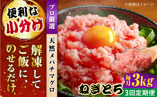 【全3回定期便】まぐろ ねぎとろ 約3kg（約250g×12パック） 鮪 マグロ 魚 ネギトロ 横須賀【横須賀商工会議所 おもてなしギフト事務局（本まぐろ直売所）】 [AKAK041]