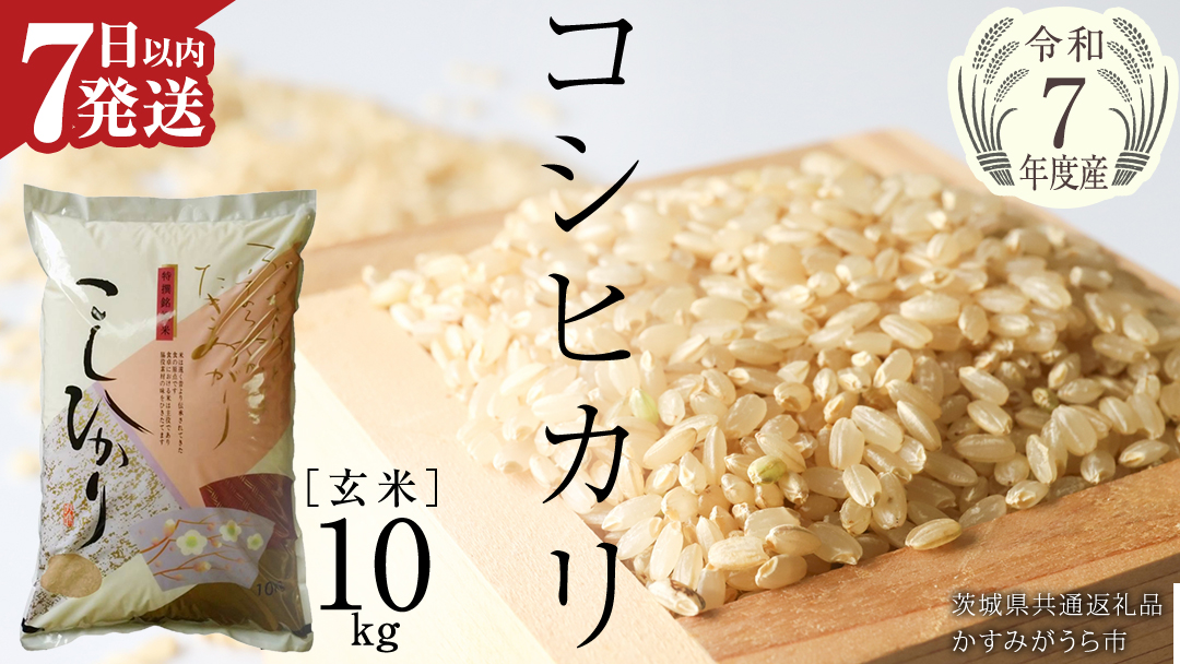 ≪ 令和7年度 新米 ≫ コシヒカリ 玄米10kg（10kg×1袋）（茨城県共通返礼品 かすみがうら市産） 新米 米 ごはん もっちり 甘い コメ お米 銘柄米 [EX012sa]