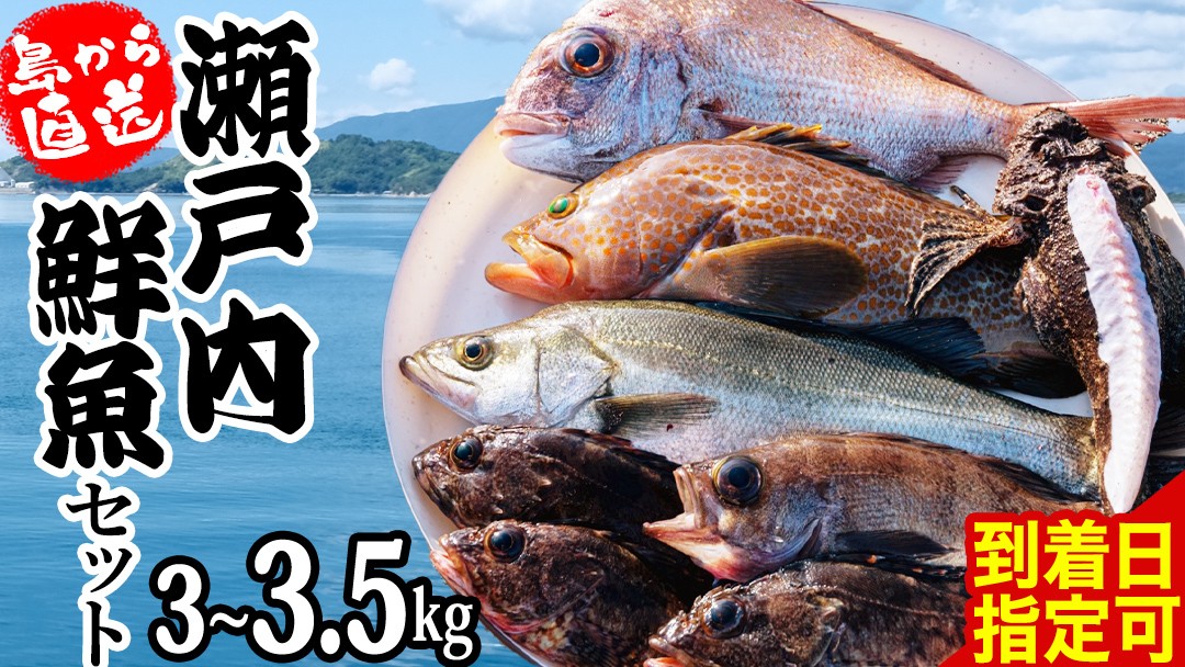 
                  瀬戸内海産 鮮魚 セット 【 配達日指定可 】 神経締め 血抜き済 3～3.5kg 冷蔵 産地直送 おまかせ 詰め合わせ 詰合せ 刺身 刺身用 魚 煮魚 広島県 大崎上島町
                