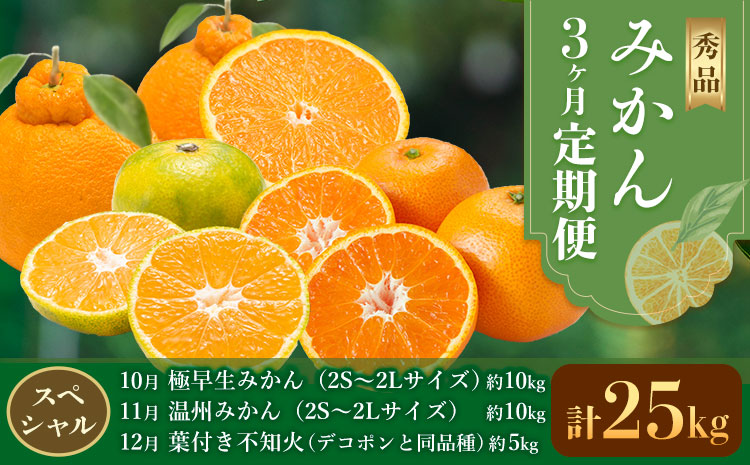 秀品 みかん 3ヶ月定期便 【スペシャル：計25kg】 日本フルーツ株式会社《2026年10月上旬-12月末頃出荷》熊本県 長洲町 極早生みかん 温州みかん 葉付き 不知火 果物 フルーツ スイーツ デザート ギフト ご贈答---sn_nfuktei_44000_special_aug3---