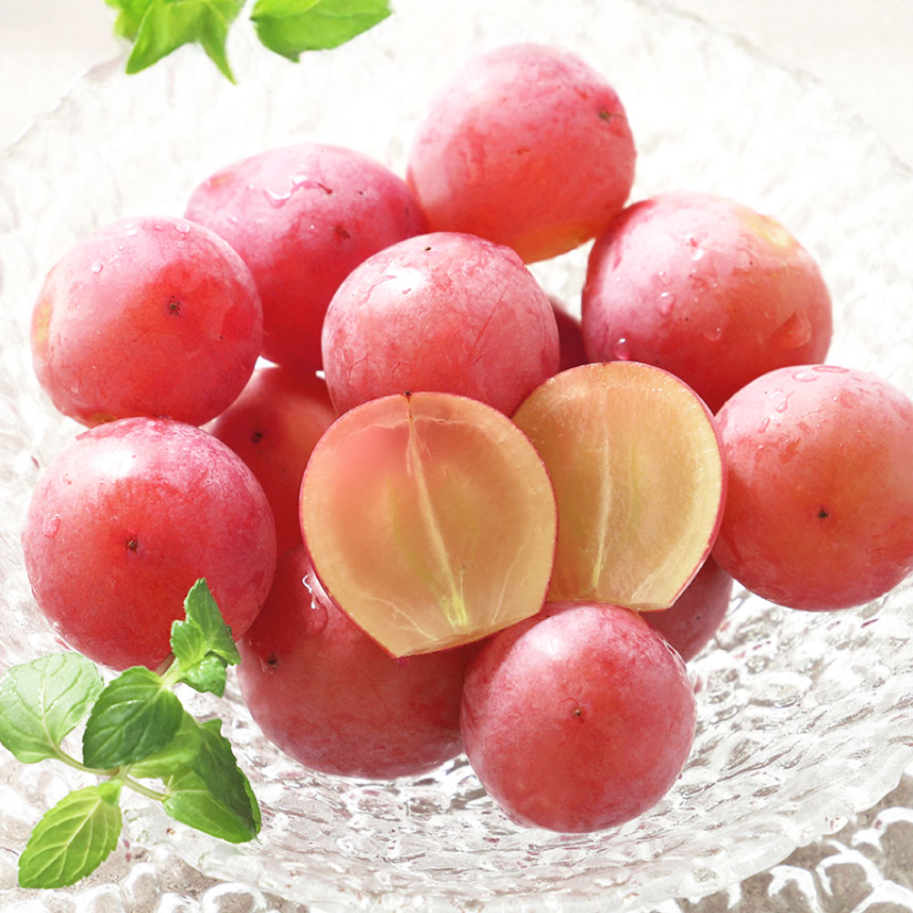 【ふるさと納税】岡山県産 桃太郎ぶどう・クイーンニーナ セット 各1房 計約1kg（約500g×2房） 種なし 大粒 葡萄 ブドウ ぶどう くだもの 果物 果実 フルーツ 詰め合わせ 冷蔵 国産 岡山県 倉敷市 送料無料 【2026年8月上旬～11月上旬まで順次発送予定】