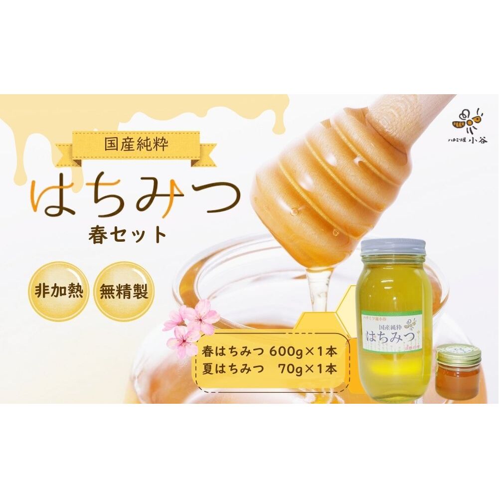 ハチミツ屋小谷 はちみつ 春セット／ 国産 純粋 蜂蜜 ハチミツ ハニー 非加熱 無精製 贈答用 贈り物 奈良県 宇陀市 ふるさと納税
