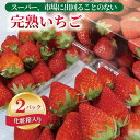 【ふるさと納税】期間限定 数量限定 いちご 280g × 2パック 化粧箱入り 朝摘み 完熟いちご 国産 泉佐野市産 フルーツ 果物 化粧箱 直送 甘い 濃い 食品 食べ物 ギフト プレゼント お取り寄せ 関西 泉佐野市 辻農園 冷蔵 送料無料【先行予約】