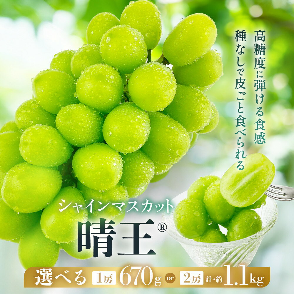 【ふるさと納税】【内容量が選べる】ぶどう 2026年 シャイン マスカット 晴王 1房 約670g～2房 計約1.1kg | フルーツ 果物 くだもの 食品 人気 おすすめ 送料無料