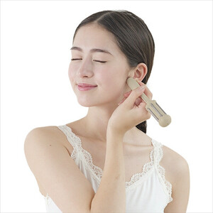 ファイテン　チタンローラーモカ（汚れをサッと拭き取れるクロスと携帯にも便利な巾着袋付き）【 美顔器 美顔器  美顔器  美顔器  美顔器  美顔器 】