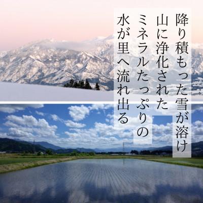 ふるさと納税 魚沼市 【令和7年度産】魚沼産コシヒカリ 精米 5kg 一等米 |  | 01