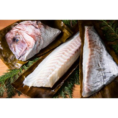 ふるさと納税 南伊勢町 寶鯛の昆布〆(片身約350g、頭片身約150g)三重県南伊勢町産