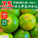 【ふるさと納税】ゆら早生 みかん 箱入7.5kg (内容量 6.8kg) SMLサイズのいずれか 秀品 優品 混合 有田みかん 和歌山県産 【みかんの会】 | 和歌山 フルーツ 果物 くだもの かんきつ 柑橘 柑橘類 みかんの会 送料込み 送料無料