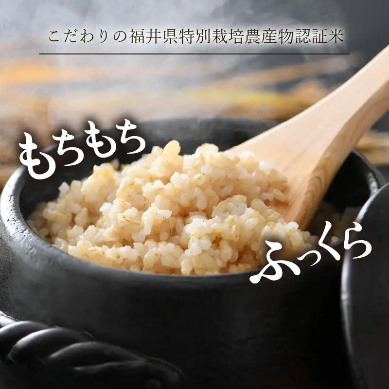【先行予約】【令和8年産 新米】 ミルキークイーン 玄米 10kg （5kg×2袋） 特別栽培米 農薬不使用 化学肥料不使用 ／ 高品質 鮮度抜群 福井県産 ブランド米 ※2026年10月上旬以降順次
