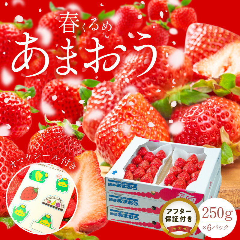 【ふるさと納税】福岡産 春 あまおう 250g × 6パック 合計 1.5kg 冷蔵 濃厚 甘い 果汁 アフター保証 安心安全 酸味 甘味 国産 いちご 果物 アレンジ おやつ フルーツ スイーツ スムージー ジャム 南国フルーツ お取り寄せ 福岡県 久留米市 送料無料