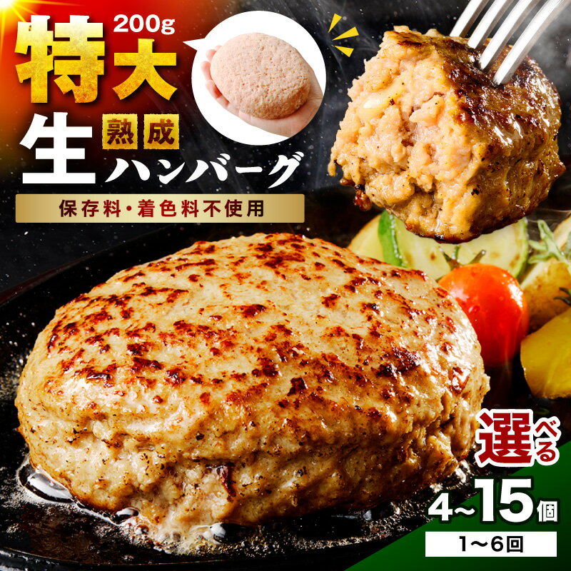 【ふるさと納税】選べる 内容量！お届け回数！ 【無添加】食べ応え抜群！ 生ハンバーグ 200g 4個 10個 15個 1回 3回定期便 6回定期便 ハンバーグ ふるさと納税 お惣菜 惣菜 ふるさと納税 ハンバーグ