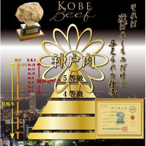 神戸牛 訳あり 小分け 切り落とし肉＆焼肉用(部位おまかせ) 計400g AGSP1【配送不可地域：離島】【1662640】
