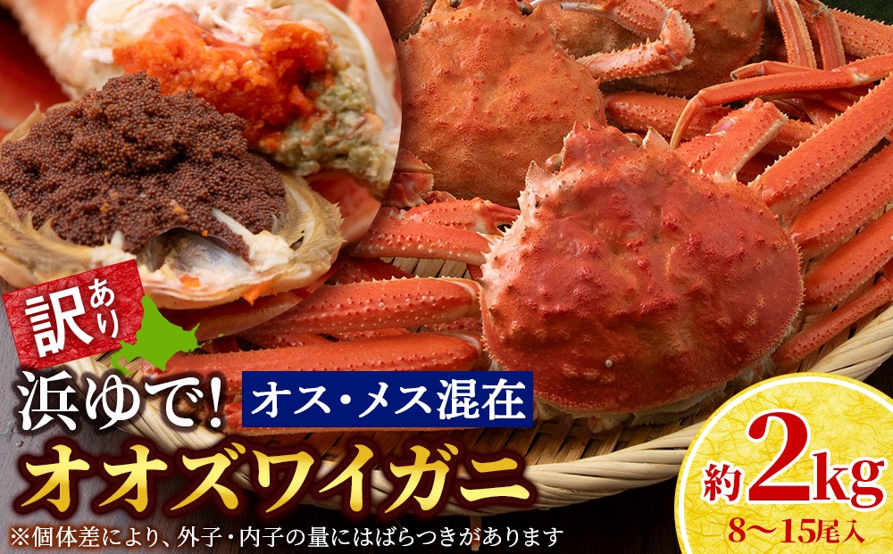 
                  【7営業日以内発送】訳あり オオズワイガニオスメス混在浜ゆで （8-15尾）2kg 北海道産 
                