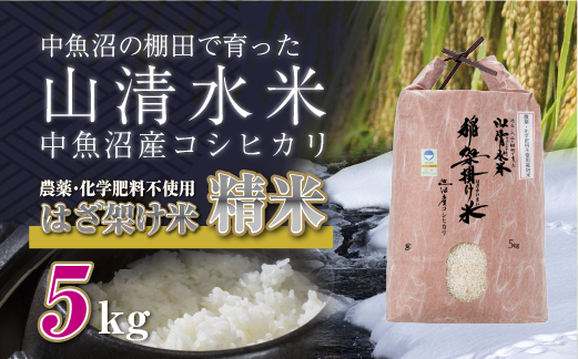 
            新潟県魚沼産コシヒカリ◇精米５kg 栽培期間中農薬・化学肥料不使用「山清水米」はざ架け米
          