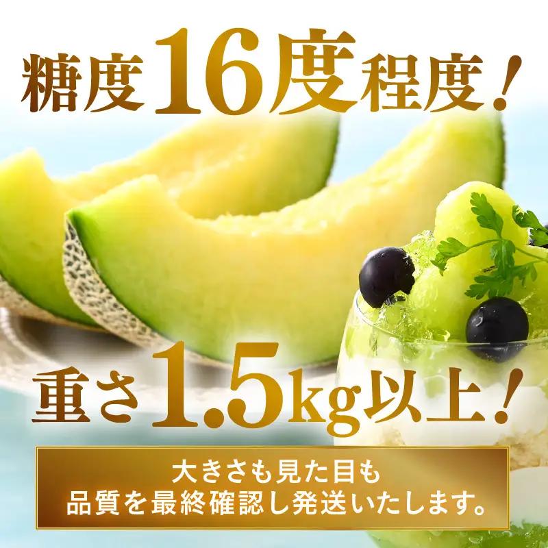 【先行予約】青肉アールスナイトメロン 秀品 2玉（1.5kg以上×2玉）【アールス系青肉メロン】《糖度16度程度！1株1果採りで育てる高級メロン！》／ 果物 フルーツ 農家直送 青肉 マスクメロン ア