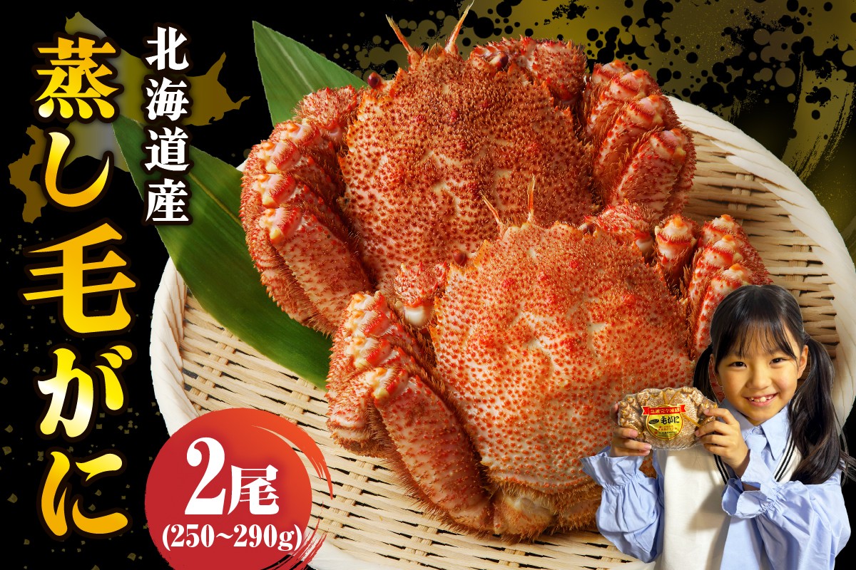 
                  北海道産活蒸し毛蟹約250g～約290g×2尾【er001-108-b】毛ガニ かに味噌 国産 冷凍 魚介類 かに鍋 送料無料 北海道 えりも町
                