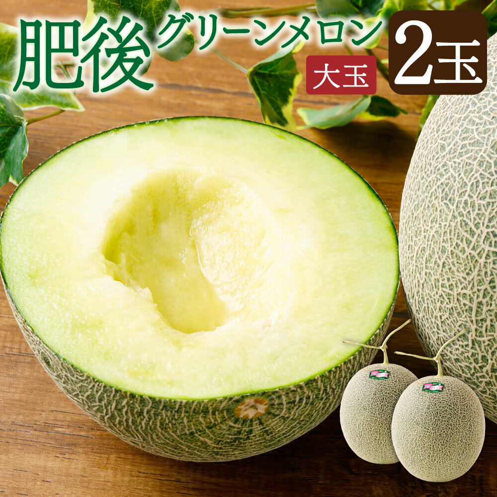 【ふるさと納税】肥後グリーンメロン 2玉 4.2kg〜4.5kg 熊本県産 メロン 大玉 めろん 果物 フルーツ 国産 常温 送料無料 【2025年7月上旬～8月上旬に順次発送】