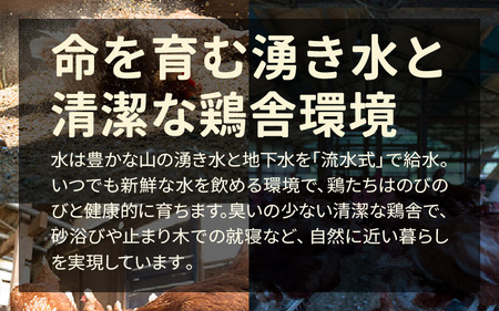 【蓮ヶ峯農場】京都奥丹波 平飼いたまご 12個