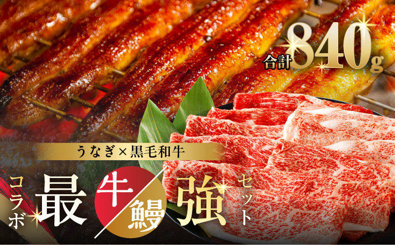 
            ≪数量限定≫うなぎ×黒毛和牛 都農町最強セットB 肉 牛 牛肉 おかず 国産_T030-130-02
          