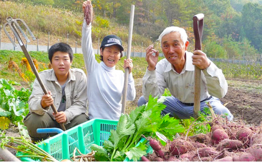 安芸高田市の小さな農家お届けするふるさと旬野菜セット 野菜類 詰合せ やさい 