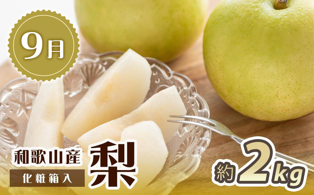 【全2回 定期便】 紀州和歌山産旬のフルーツセット（8月：桃約1.8kg・9月：梨約2kg） ［UT139］