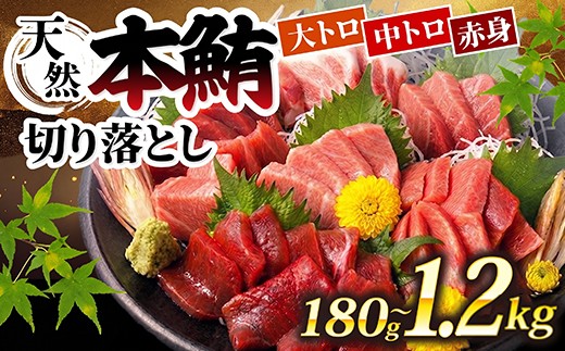 
                  天然 本マグロ 中トロ 大トロ 赤身 切り落とし お手軽 ちょこっとパック 1.2kg から 300g 小分け 60g 食べきりサイズ 中とろ 大とろ あかみ 切落し マグロ 鮪 クロマグロ 海産物 魚 刺身 さしみ 漬丼 漬け丼 おかず 海鮮丼 寿司 魚介類 魚介 海鮮 簡単調理 惣菜 訳あり 規格外 父の日 不揃い ランキング 冷凍 人気 10000円 1万円 おすすめ 高知県 室戸市
                