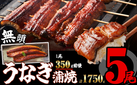 うなぎ蒲焼 無頭 5尾 | うなぎ蒲焼