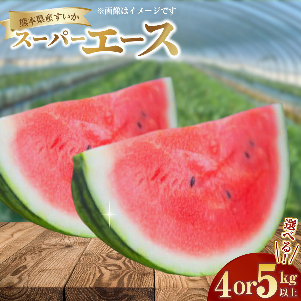 【ふるさと納税】＜選べる内容量＞熊本県産すいか スーパーエース 4kg以上 / 5kg以上 スイカ すいか 西瓜 くだもの 果物 果実 フルーツ 青果 デザート おやつ 熊本県産 国産 九州 熊本県 送料無料 【2026年3月上旬発送開始】