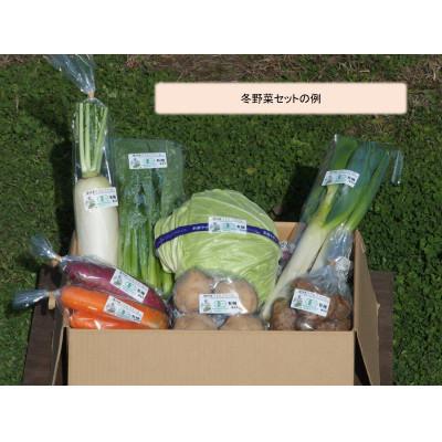 ふるさと納税 千曲市 長野県千曲市産【有機JAS認証】信州ありさんファームの有機野菜7〜9品目セット |  | 01