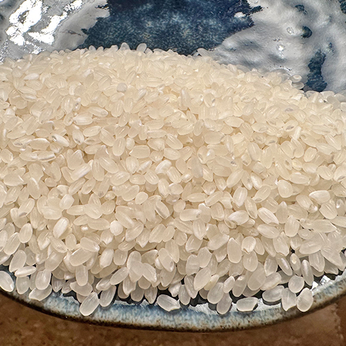 新米 令和7年 新潟県上越市産 従来 コシヒカリ 精米済15kg（5kg×3袋） 15キロ こしひかり お米 米 精米 送料無料