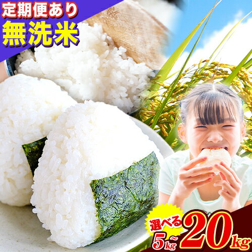 【ふるさと納税】熊本県産 さとほまれ 無洗米 ご家庭用 選べる 5kg 10kg 15kg 20kg 《7-14日以内に出荷予定(土日祝除く)》熊本県 玉名郡 玉東町 米 こめ コメ ブレンド米 送料無料　定期便