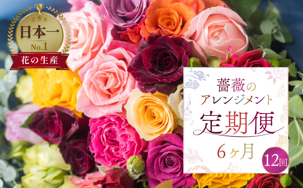 
【定期便】薔薇のアレンジメント(バラ20本+ユーカリ) 6ヶ月 12回お届け 隔週 アレンジブーケ バラ 薔薇 花束
