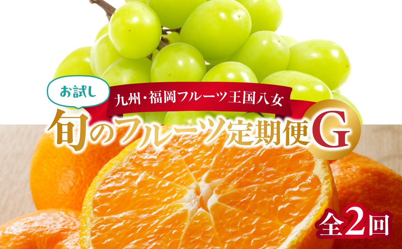 
            九州・福岡フルーツ王国八女　お試し旬のフルーツ定期便【全２回】 G｜＜配送不可：北海道・沖縄・離島＞
          