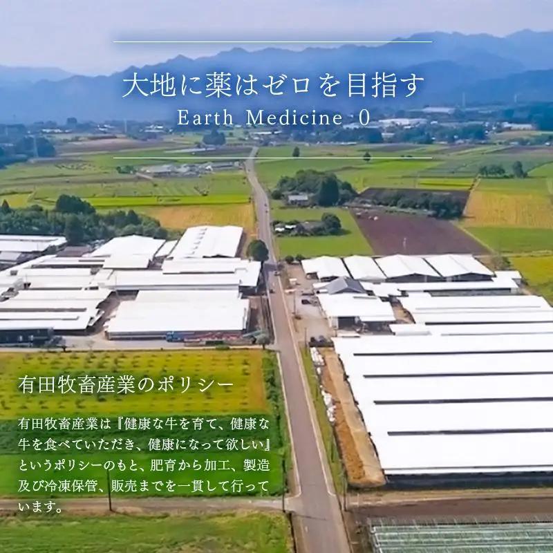 【翌月発送】宮崎有田牧場 黒毛和牛高級部位 シャトーブリアン・ヒレステーキ5枚 牛肉 ステーキ＜14-1a＞