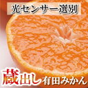 【ふるさと納税】＜1月より発送＞家庭用 蔵出みかん2.5kg+75g（傷み補償分）有田 訳あり | フルーツ 果物 くだもの 食品 人気 おすすめ 送料無料 有田の蔵出しみかん わけあり 光センサー選果