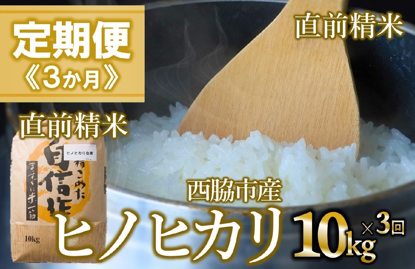 
            【定期便 3か月 ヒノヒカリ】白米10kg（3か月連続お届け）新米 2025年産　米 お米 米10㎏ お米10㎏ 兵庫県産 ひのひかり ヒノヒカリ 西脇市産 定期 連続 3回 3か月 2025年産 精米 便利 らくちん ラク
          