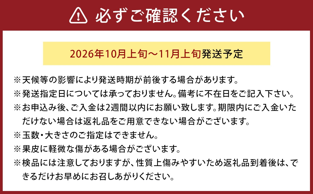 福岡限定オリジナルブランド甘柿秋王優品