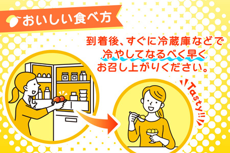 JH001《先行予約 2026年発送》宮古島産マンゴー１㎏【㈱フラモン】