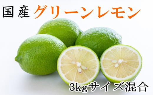 【産直】和歌山産グリーンレモン約3kg（サイズ混合）※2026年10月中旬～2026年11月上旬頃より順次発送【tec506A】