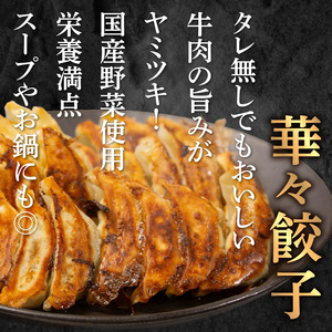 A07004　牛肉100％の餃子　華永の華々餃子×かぼす餃子　14個入り各1パック