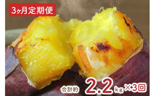 
										
										EY-8 【3ヶ月定期便】熟成紅はるかの冷凍焼き芋約2kg＋おまかせ品種さつまいも 合計約2.2kg！
									