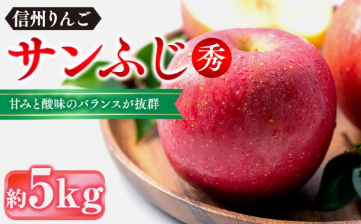 
                  信州りんご・サンふじ（秀）約5kg（12個～18個） |  りんご フルーツ 果物 旬 サンふじ 人気 おすすめ ギフト プレゼント 送料無料 長野県 長野市 信州 信濃 ふるさと納税
                