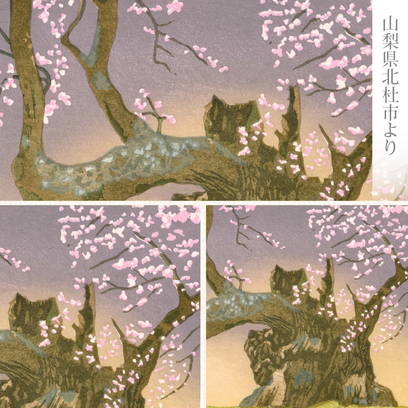 版画「神代桜」 版画 神代桜 桜 特別天然記念物 日本三大桜 額装 絵画 木版画家 陶山俊一 小牧市在住 日本 自然 風景 モチーフ 遠近感 質感 木版画 アート アート作品 インテリア 壁掛け 絵 美術品 工芸品 風景画 自然画 愛知県 小牧市 送料無料