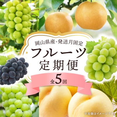 【発送月固定定期便】岡山県産 フルーツ定期便全5回【配送不可地域：離島・北海道・沖縄】【4075035】