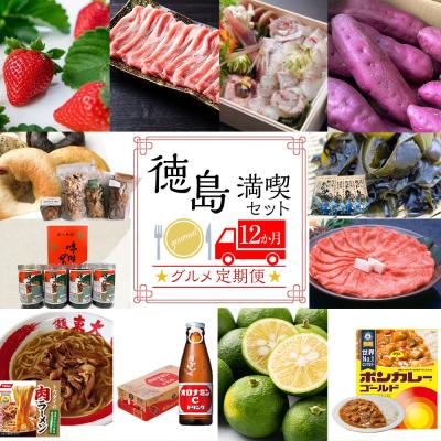 ふるさと納税 徳島市 【定期便 全12回】徳島満喫 グルメセット【ZZ001】