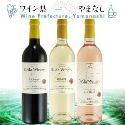 ふるさと納税 山梨県 イケダワイナリー 赤&amp;白&amp;ロゼ 3本セット