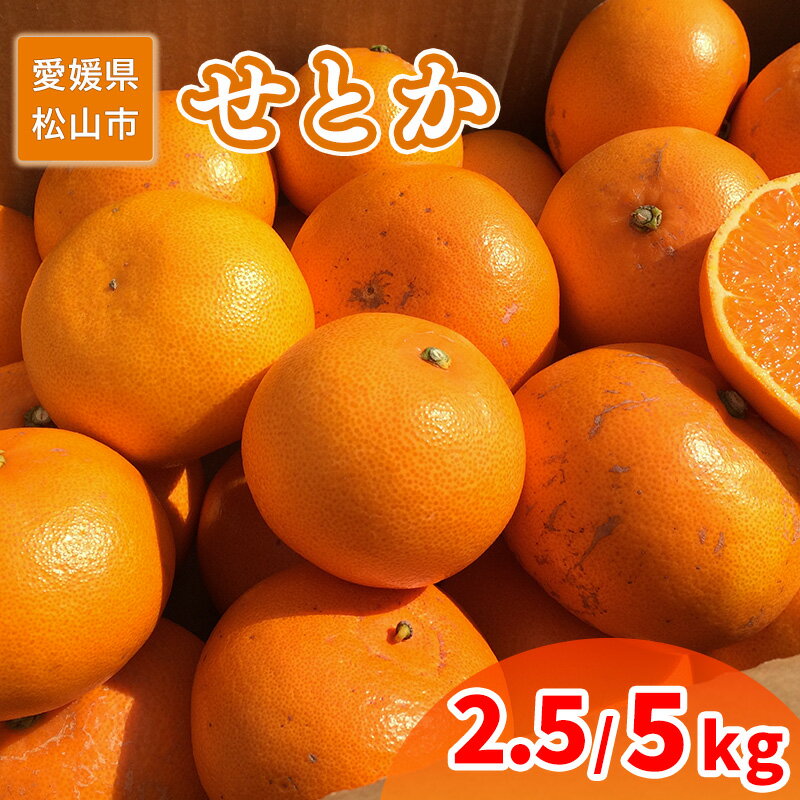 【ふるさと納税】 【2026年2月中旬から発送】 家庭用 せとか 2.5kg または 5 kg | 訳あり 蜜柑 高級 果物 甘い フルーツ みかん ミカン オレンジ 柑橘 食べて応援 特産品 愛媛 松山