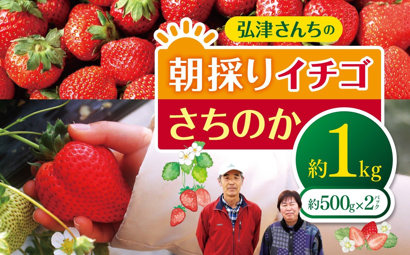 
            【 先行予約 】弘津さんちの 朝採り イチゴ さちのか 約 1kg ( 約500g × 2パック ) 令和8年1月中旬～3月発送 ｜ さちのか いちご イチゴ 苺 朝採れ 完熟 新鮮 贈答 冬 冷蔵便 クール便 山口県 平生町
          